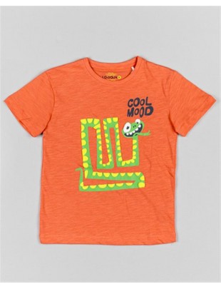 CAMISETA INFANTIL LOSAN...